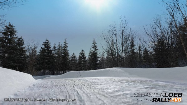 塞巴斯蒂安拉力赛-游戏截图