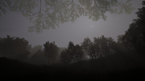 Calming Forest screenshot 4