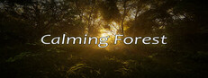 Calming Forest Banner