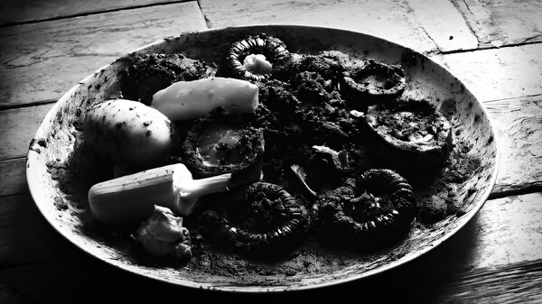 The Empty House - A Dementia Interactive Experience.