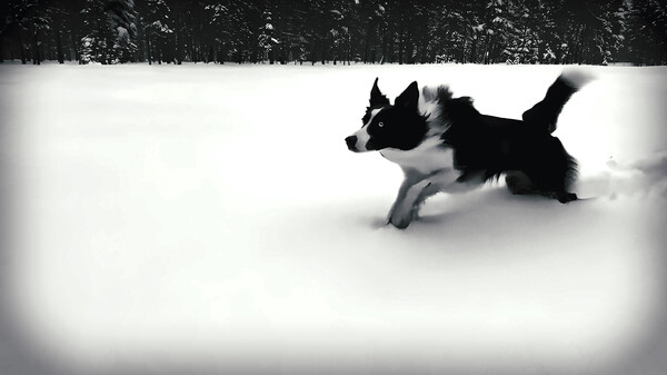 The Empty House - A Dementia Interactive Experience.