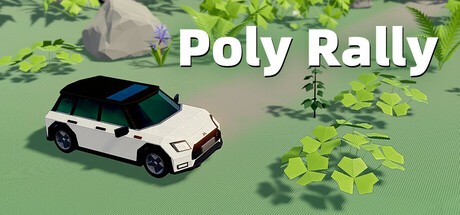 Image for Poly Rally