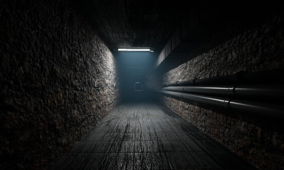 Shadow of Backrooms screenshot 5