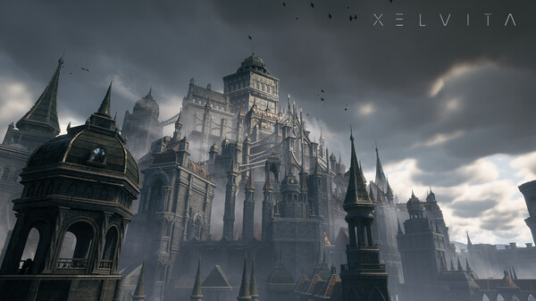 XELVITA screenshot 4