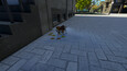 Screenshot #5