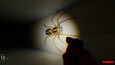 Screenshot #5