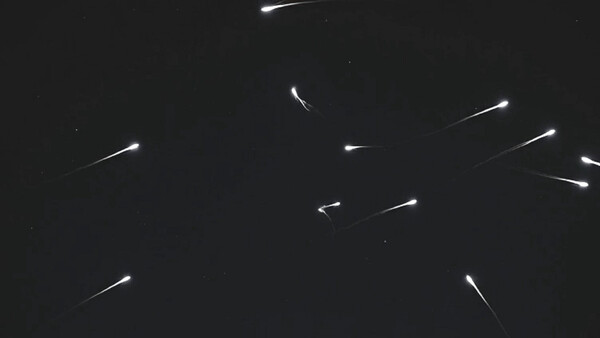 DynamicDesktop game for Linux 1