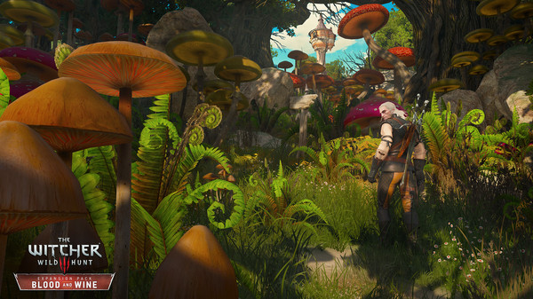 The Witcher 3: Wild Hunt - Expansion Pass
