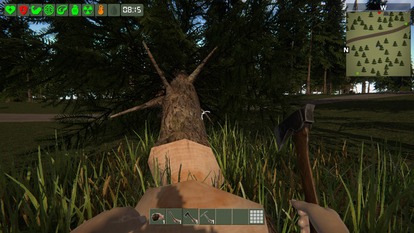 Thumbnail 2