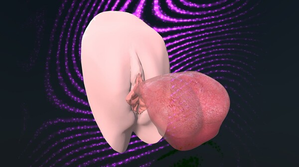 CUNNILINGUS: use your tongue! screenshot 1