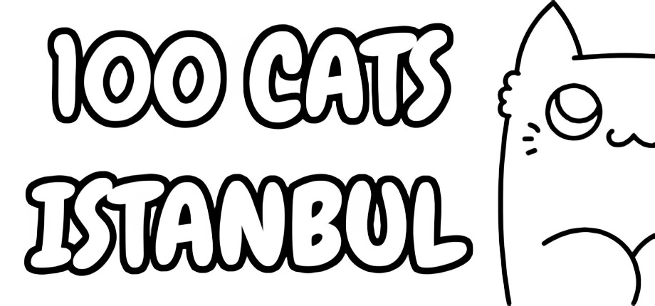 100 Cats Istanbul header image