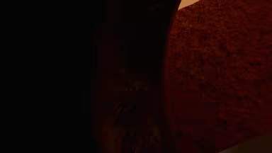 MazeSlug video 2