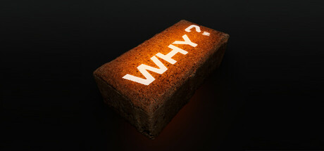 Image for Why?
