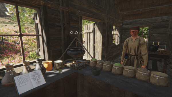Скриншот 1 из игры Herbalist Roman