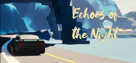 Image for Echoes of the Night