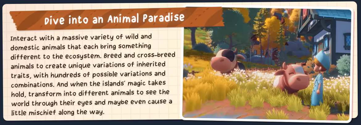 Everdream Village video 4