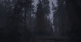 Screenshot #13