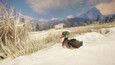 Screenshot #7