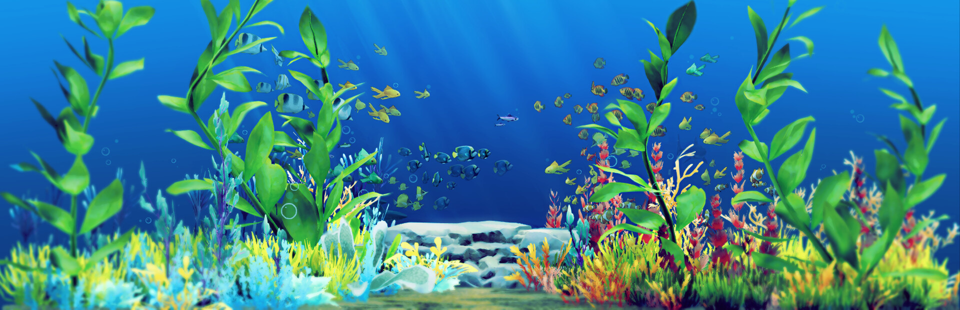 Aqua Corner