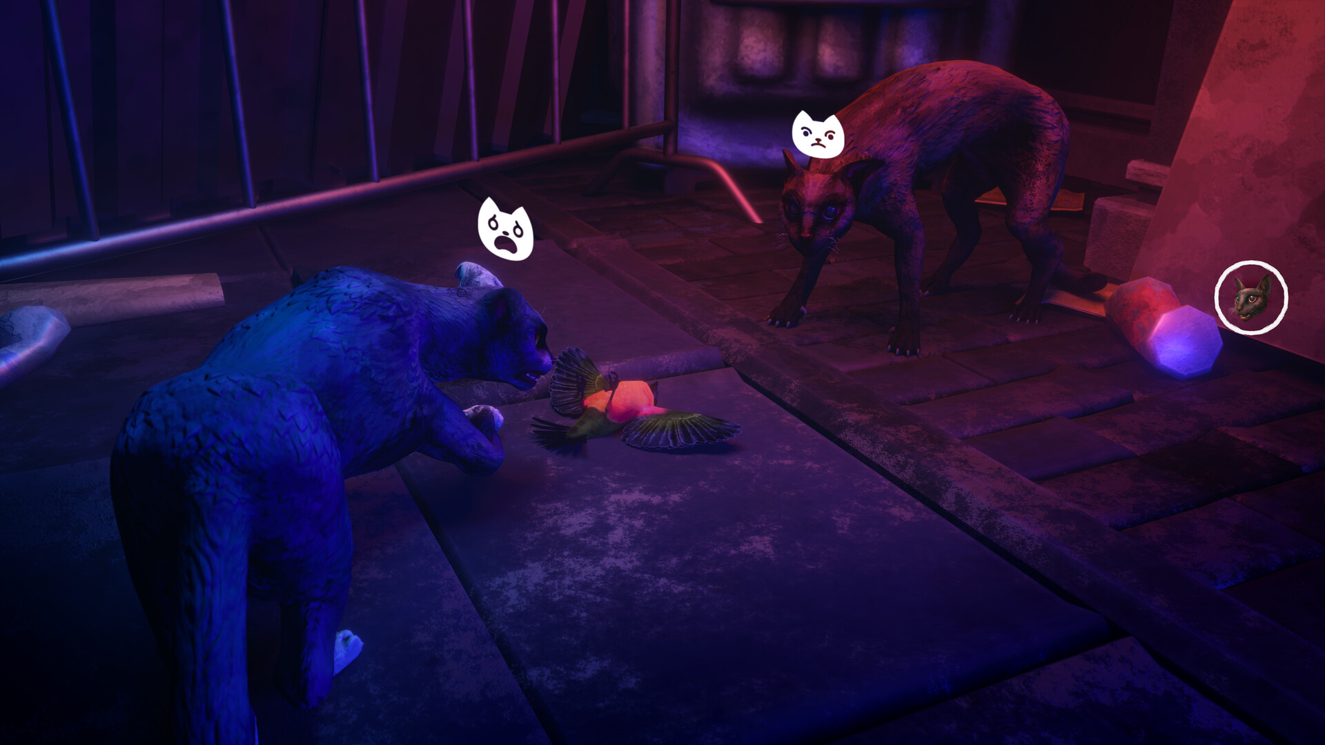 The Cat: Tales of Istanbul screenshot #1