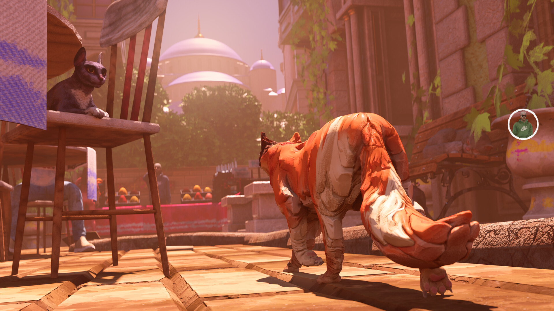 The Cat: Tales of Istanbul screenshot #2