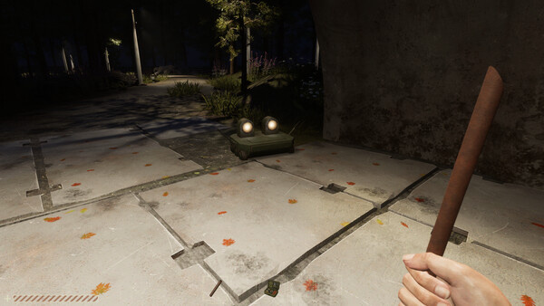 Shadow Of The Union: Survival screenshot 2