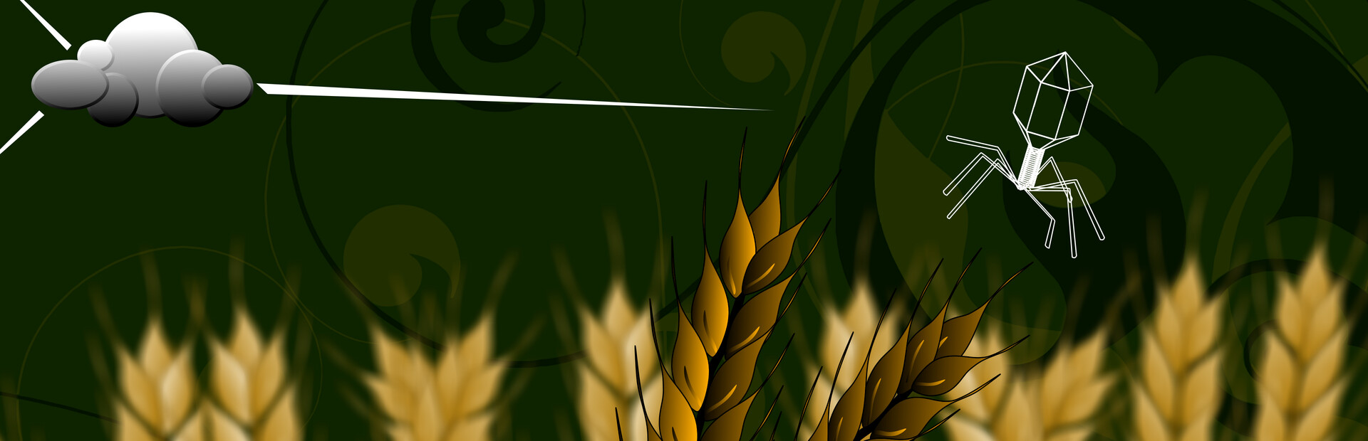 smartPLANT