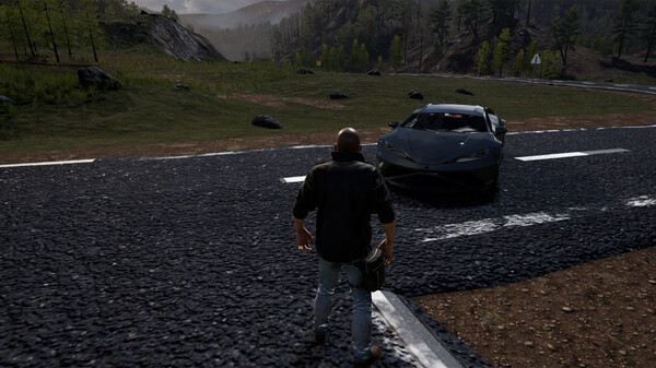 Скриншот из Nisukka Racing Simulation