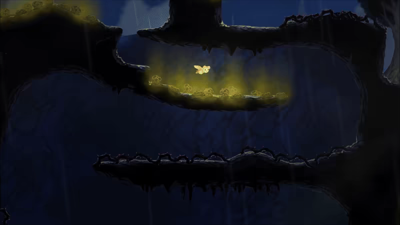 Tyto video 3