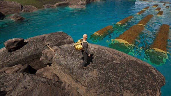 THE GOLD IS MINE screenshot 1