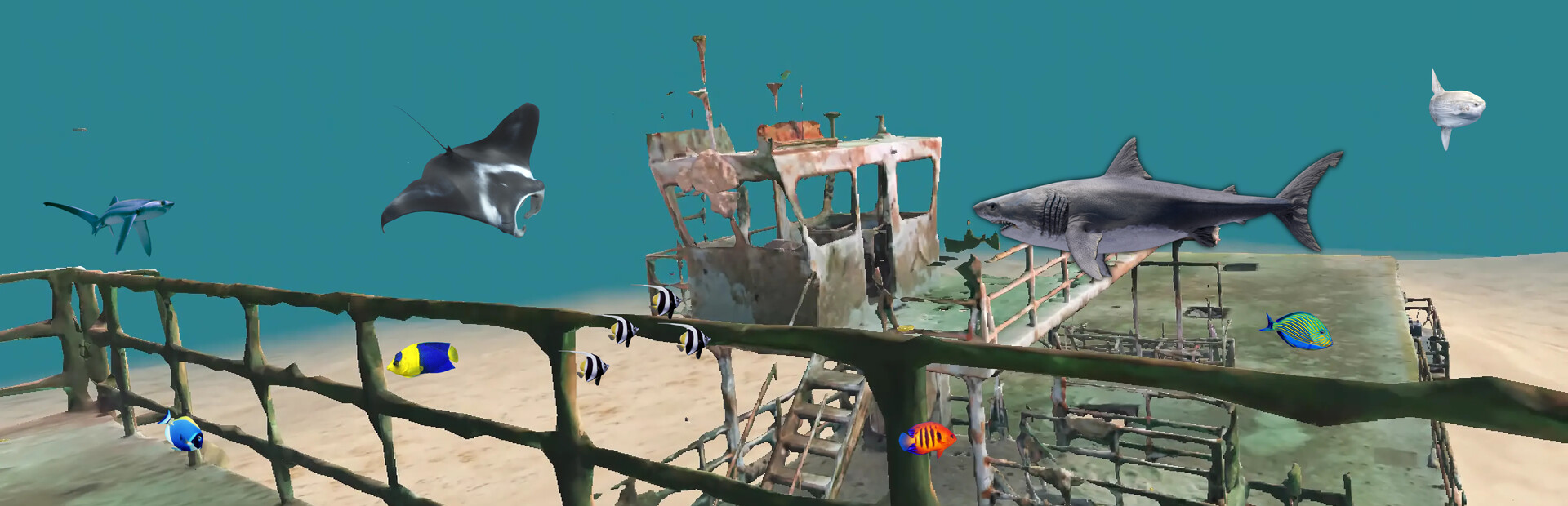 Shipwreck Discovery