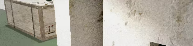 Robot Anomaly video 3