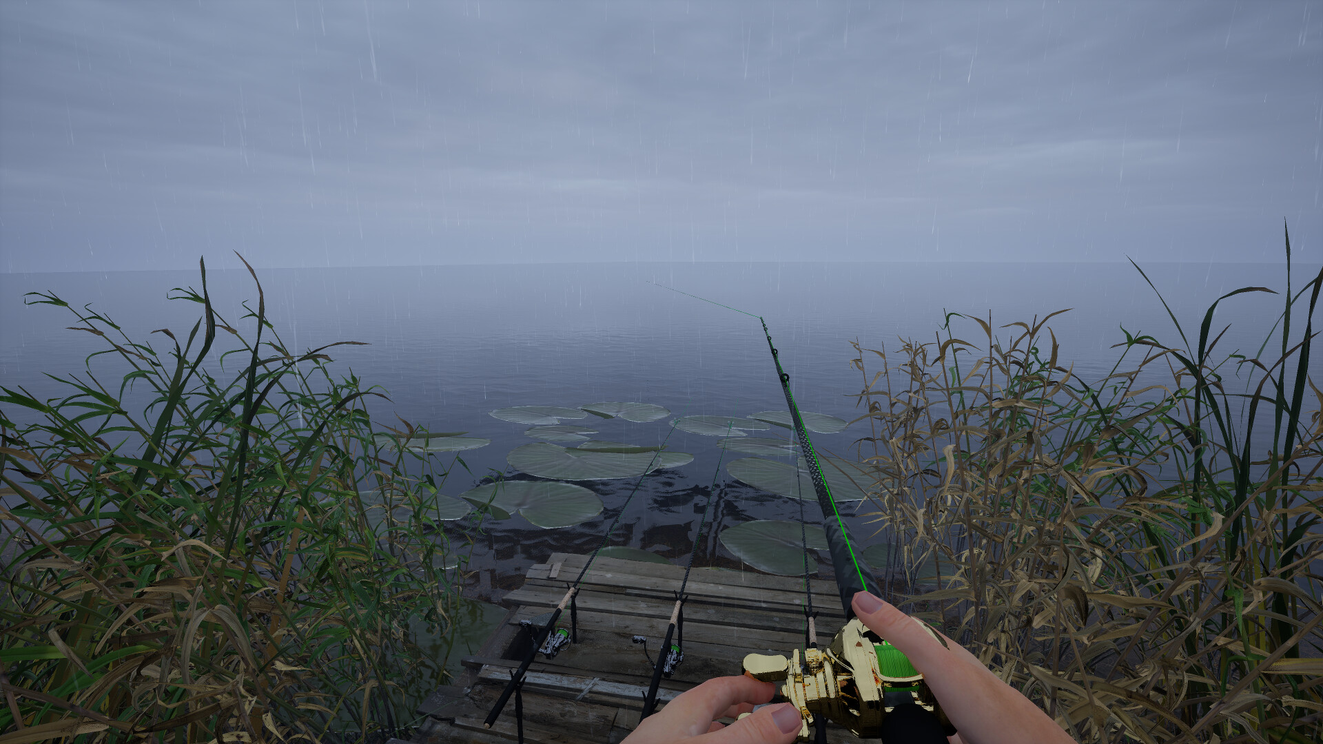Fishing：Across china screenshot #3