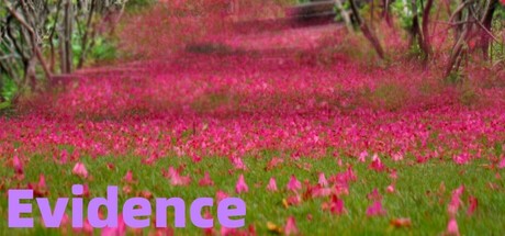 Evidence cover art