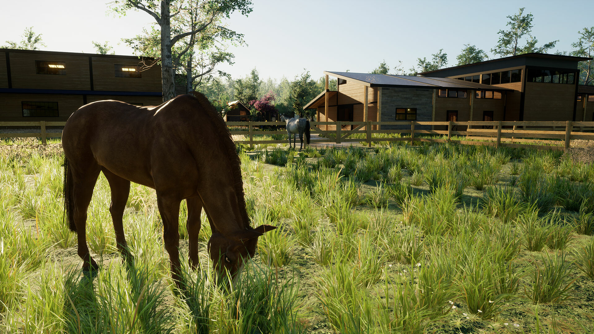 Giddy Up screenshot #8