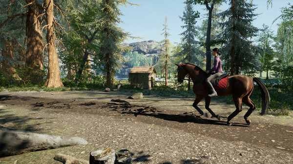 Giddy Up screenshot 4