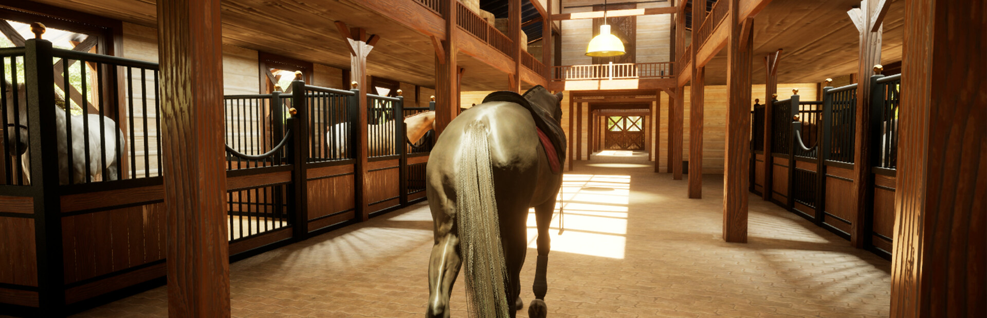 Giddy Up