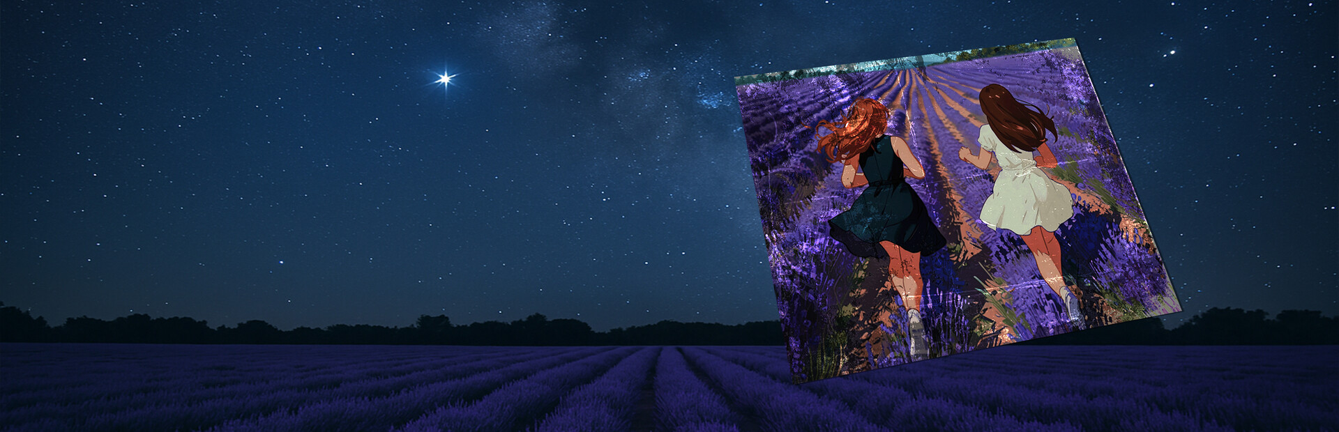 Lavender Field