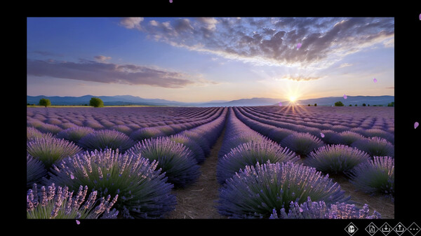 Lavender Field Demo