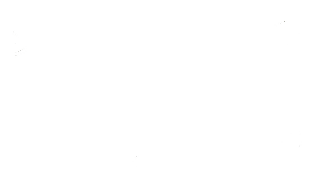Whiskers, Wizards and Wands