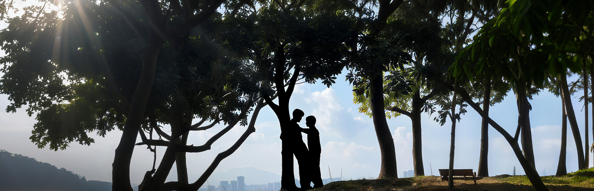 Tree's Love Crossing Above