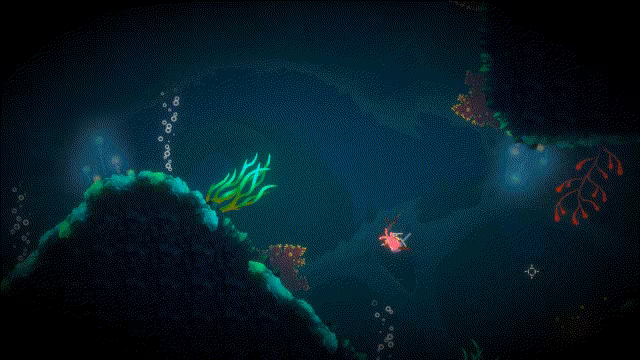Gloctopus video 3