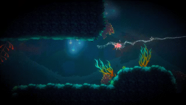 Gloctopus video 2