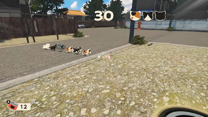 NEKOMIN Kittens invasion video 1