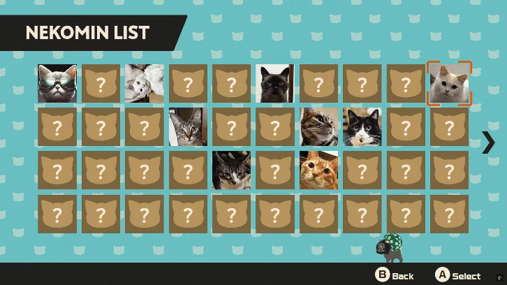 NEKOMIN Kittens invasion video 3