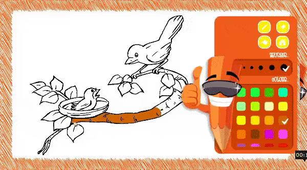Bird Coloring video 3
