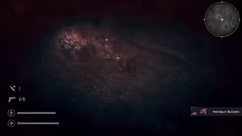 The Silent Jungle video 3