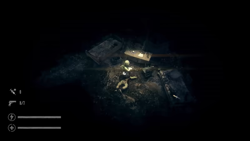 The Silent Jungle video 4