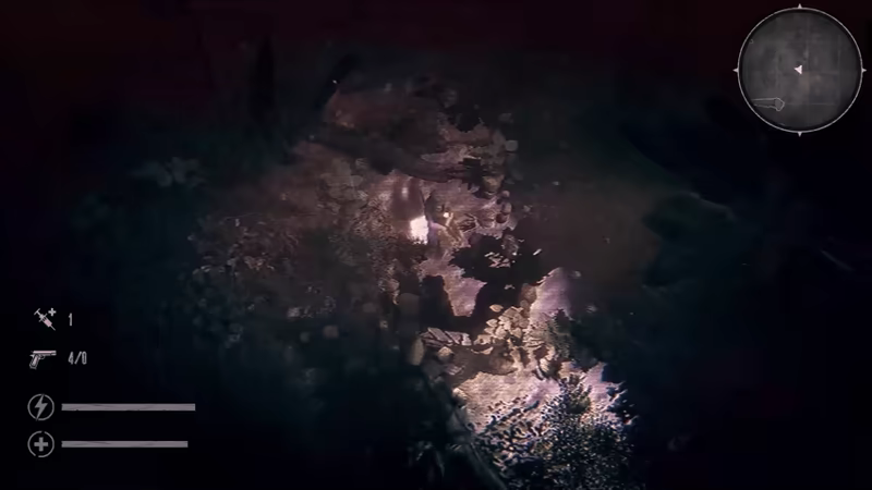 The Silent Jungle video 2