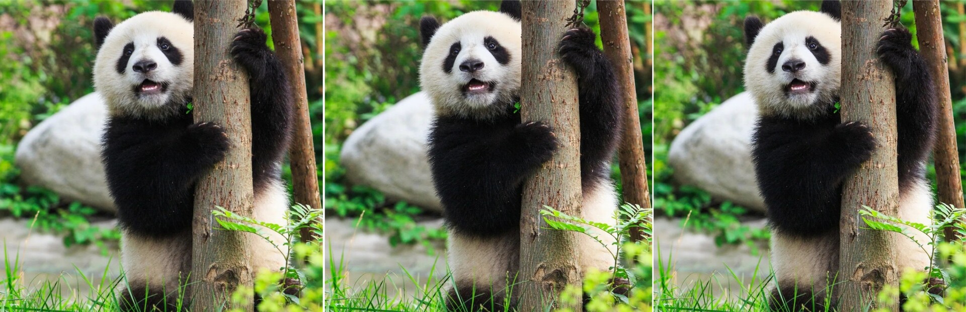 hgmGame-panda